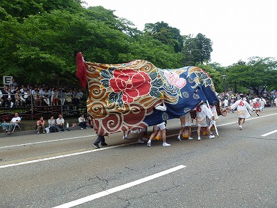 P1070905.jpg