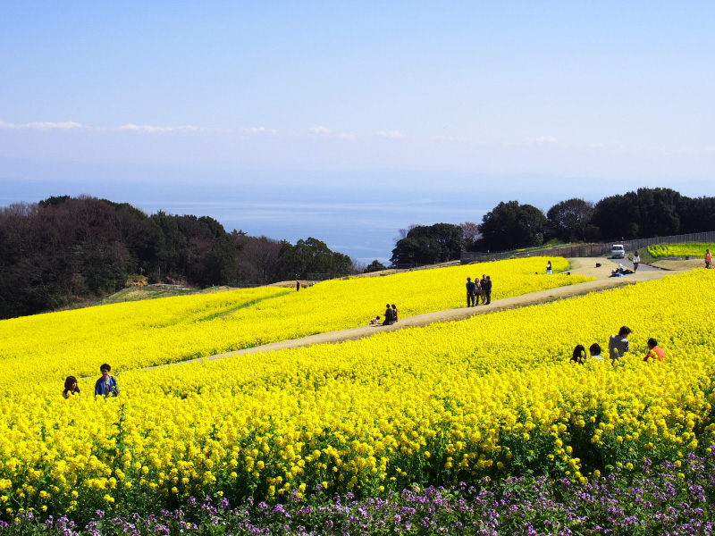 あわじ花さじき