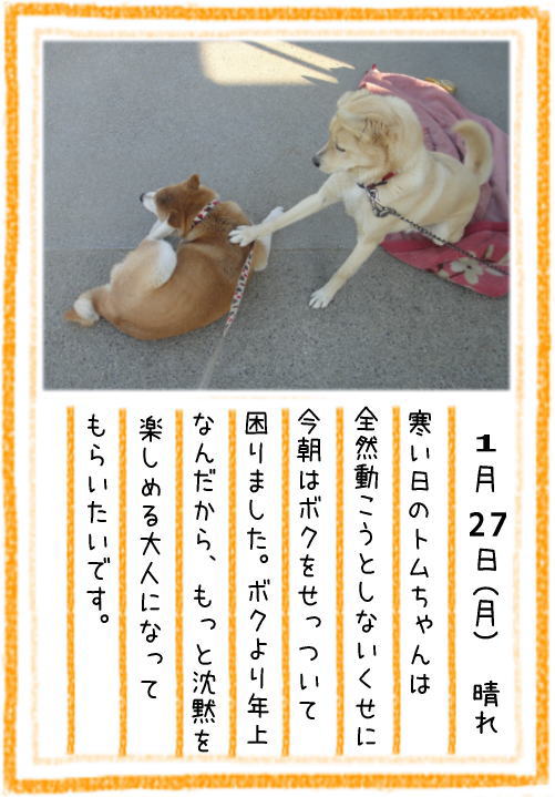 0127朝9.jpg