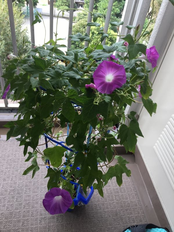 rblog-20180913093517-07.jpg