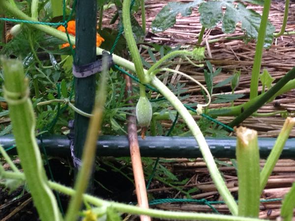 rblog-20160626204835-06.jpg