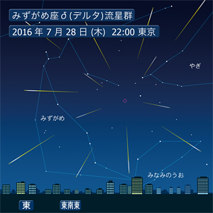 みずがめ座δ(デルタ)流星群.jpg