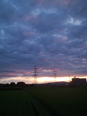 conv0540.JPG