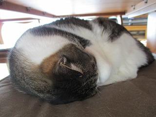 IMG_5588ss.jpg