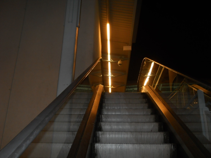 DSCN2801.jpg