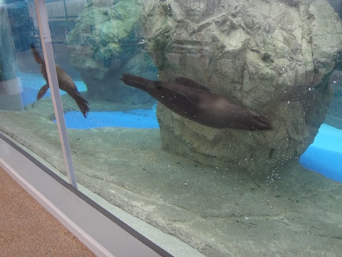 DSC04346.JPG