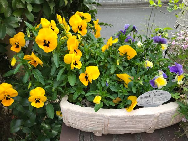 rblog-20190423182540-03.jpg