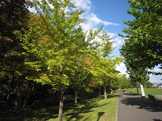湯川公園３.jpg