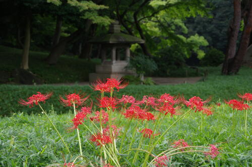 小石川後楽園