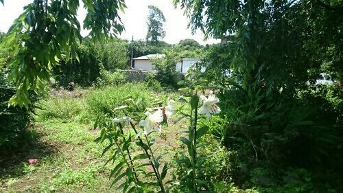 rblog-20170720084209-01.jpg