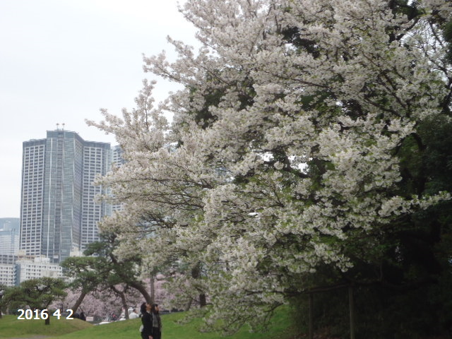DSC05406 (1).JPG