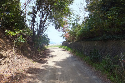 DSCF8300.jpg