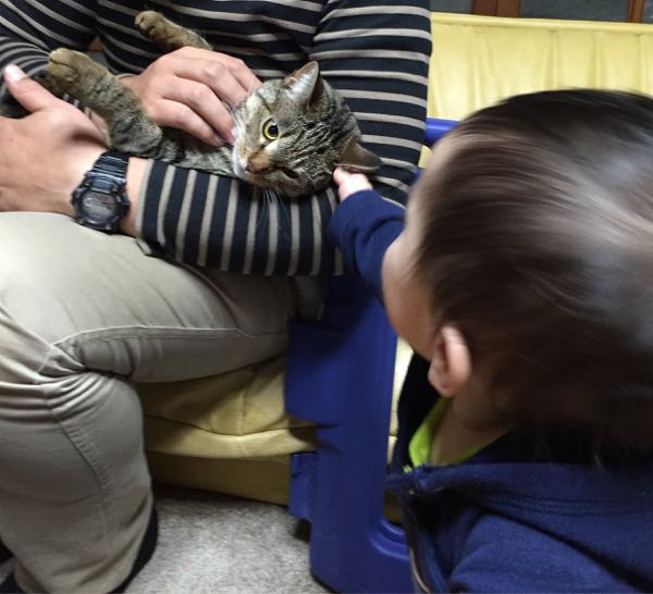 rblog-20141110210035-00.jpg
