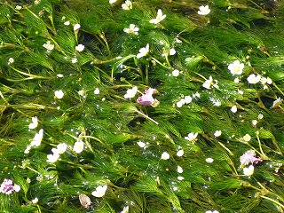 P1000358ss.jpg