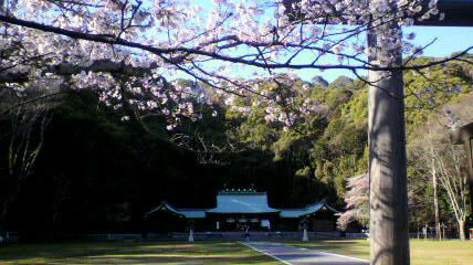 2012040115510001.jpg