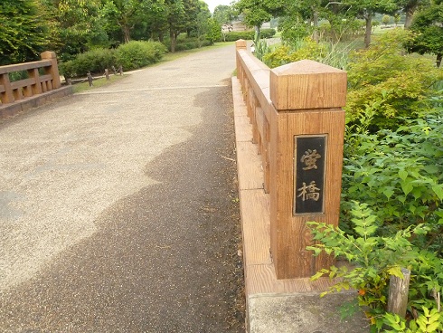 2013.6.15 004.JPG
