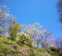 rblog-20130503155634-00.png