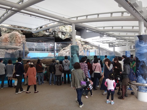 DSC04205.JPG