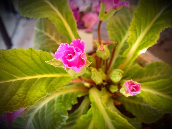 rblog-20141231140130-03.jpg