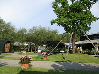 IMG_6426ss.jpg