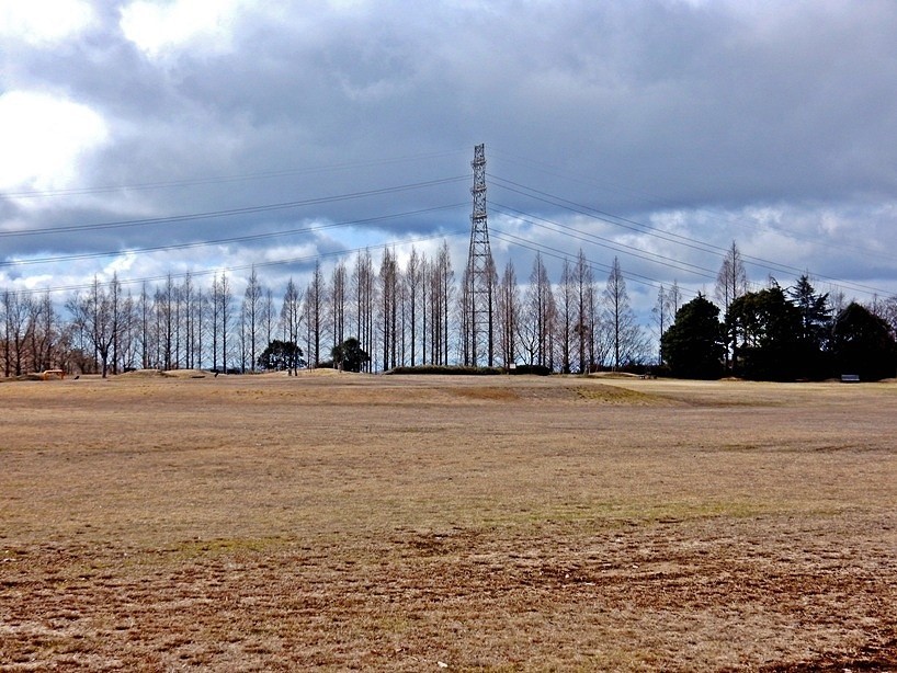 多目的広場2.JPG