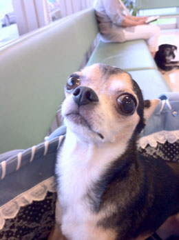 らっくん2012.8.13ｋ