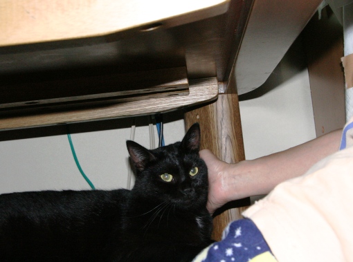 20150913ｸﾘ04.jpg