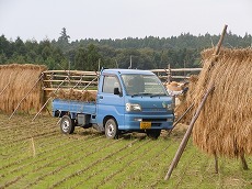 DSCN7414.jpg