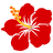 hibiscus-icon-001[1].png