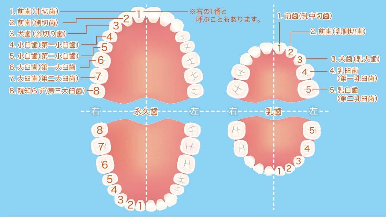 鼓動 トウタクの思い付き何でもあり日記 楽天ブログ