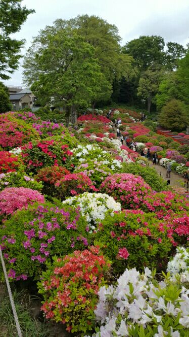rblog-20160611151551-00.jpg