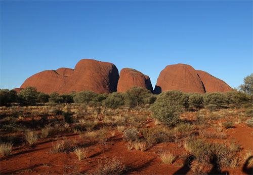 OZ779.jpg
