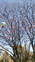 rblog-20150326124105-01.png