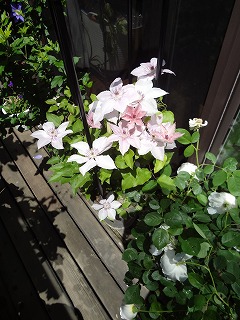 DSC01205.jpg