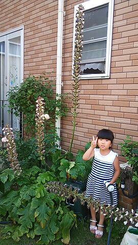 rblog-20140704222307-01.jpg