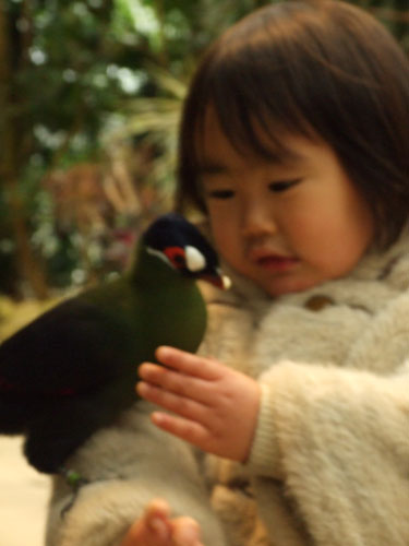 2016.01.08-12.55.18.JPG