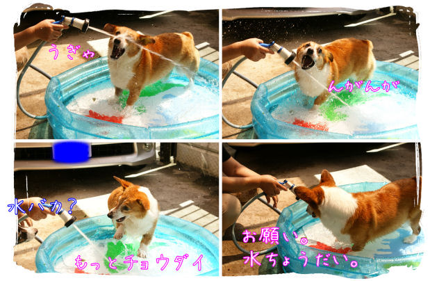 水遊び-2.JPG