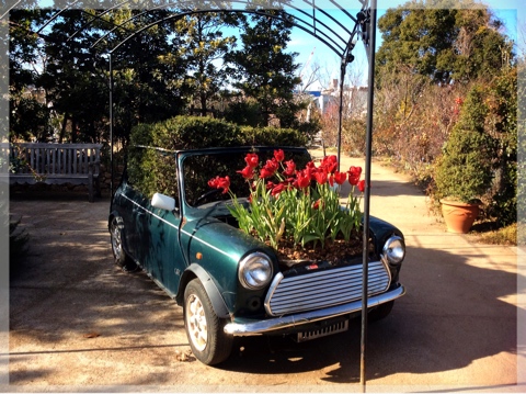 アイスチューリップ