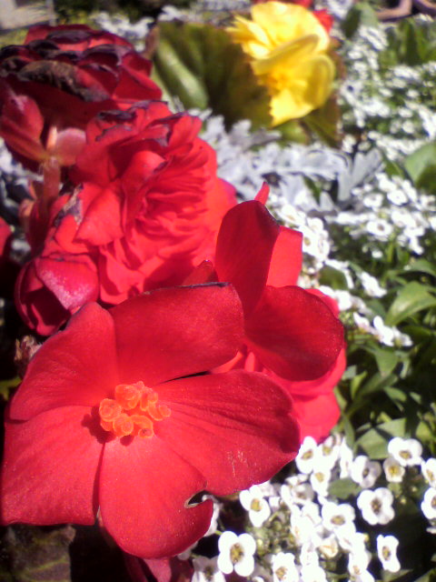 2012112012530001.jpg