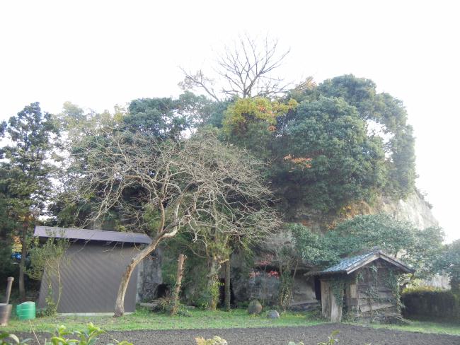DSCN6512.JPG