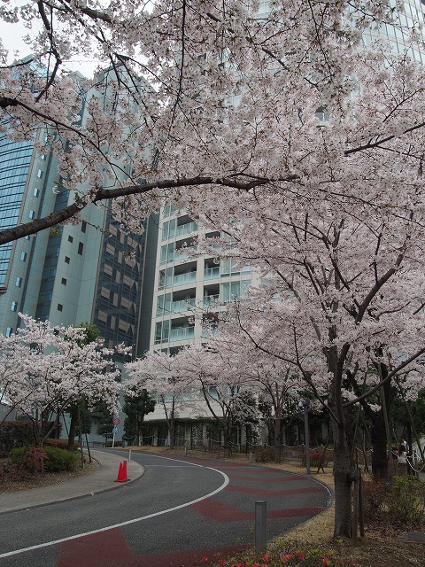P4010017.jpg