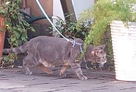 DSC_2037-16.jpg