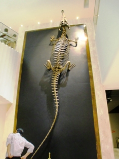 東京006.JPG