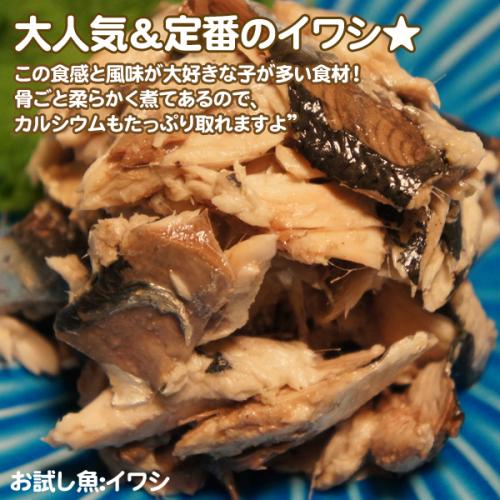 大人気＆定番のイワシ