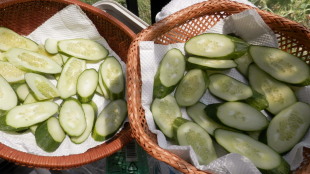 干し胡瓜　8.5　2014