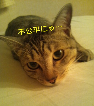 20120831_2.jpg