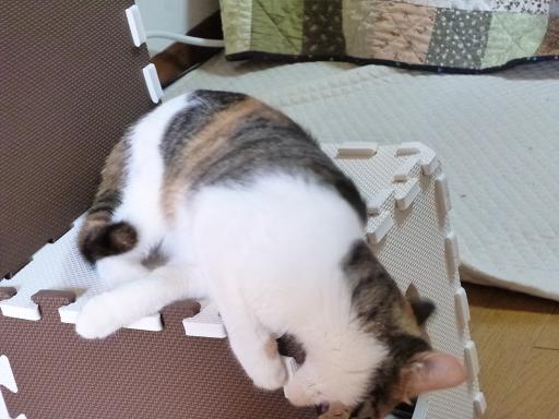 画像 2731.jpg
