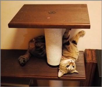 寝ながら