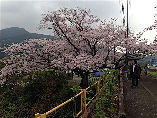 rblog-20160403012006-05.jpg