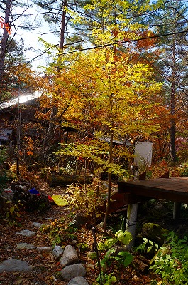 白馬の秋2013 009.jpg
